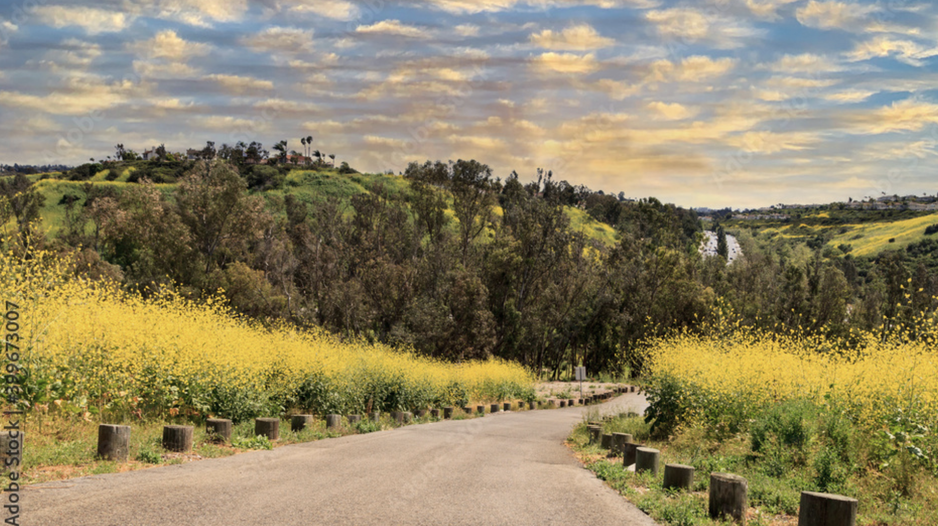Aliso Viejo, California